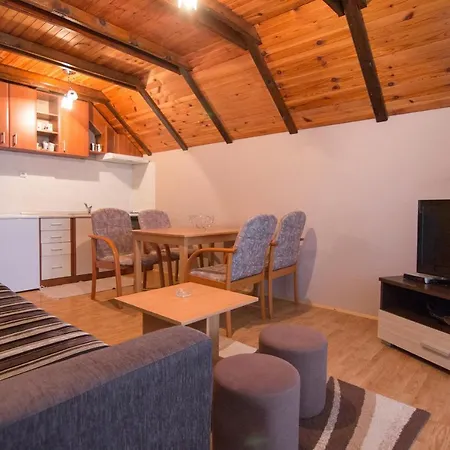 Andric Apartment *
