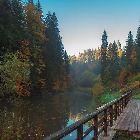 Apartamento Andric *