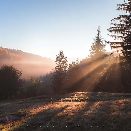 Andric * カルゲスケ・バレ