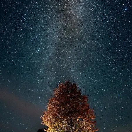 Appartement Andric *